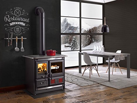 10 Best Wood Burning Stove Reviews By Consumer Guide for 2020