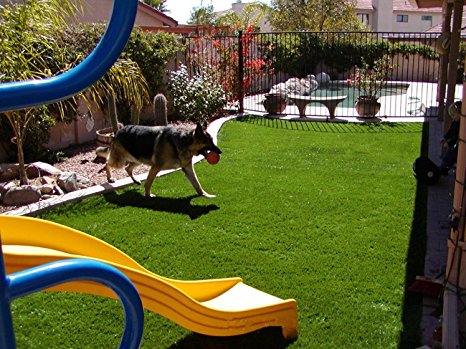 10 Best Artificial Grass Reviews By Consumer Guide In 2023