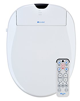10 Best Bidet Toilet Seat Reviews By Consumer Guide for 2023