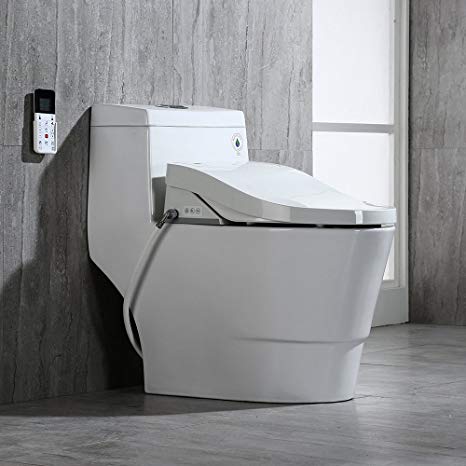 10 Best Toilet Reviews by Consumer Guide for 2020