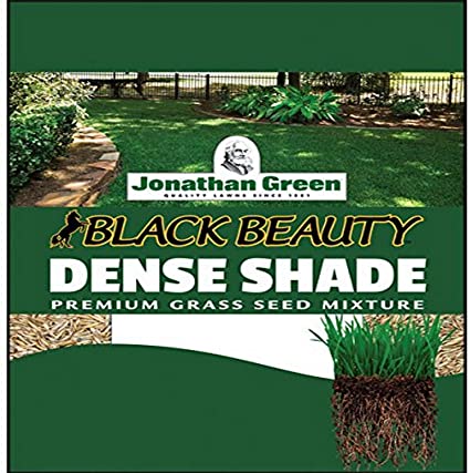 10 Best Grass Seed Reviews by Consumer Guide for 2023