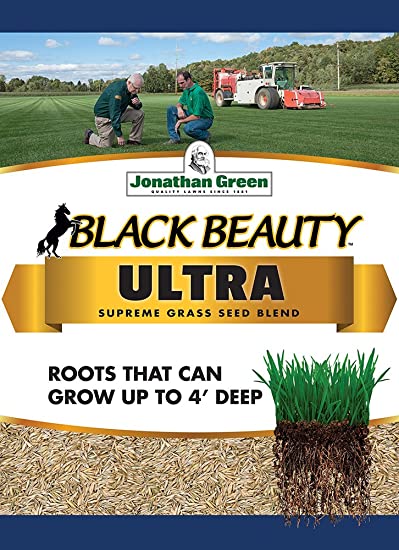 10 Best Grass Seed Reviews By Consumer Guide For 2023 - The Consumer Guide